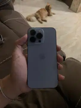 Iphone 13 pro 256gb
