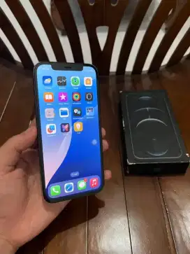 Iphone 12 pro max pacific blue 256 ibox