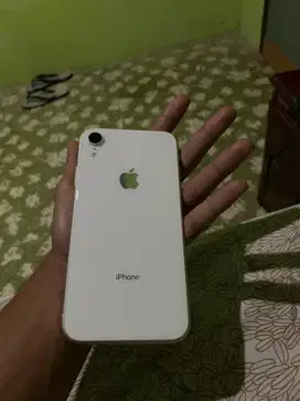 iphone xr 64 inter jaringan tidak ada