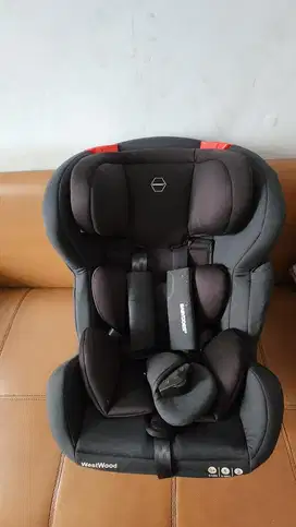 Car seat babydoes westwood