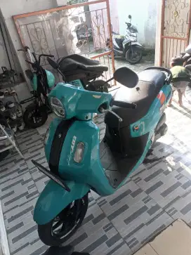 fazio 2022 murah