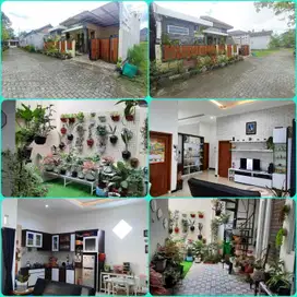 Rumah sangat nyaman dan asri jalan palagan KM 13