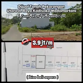 Tanah sangat nyaman dan strategis untuk hunian wedomartani