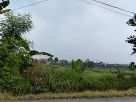 Tanah sewa di jalan Jetis lpmp