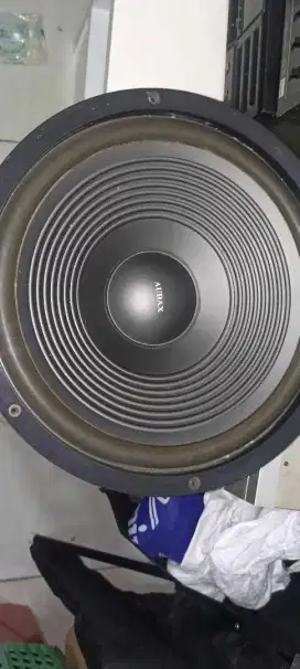 Speaker Audax 12 inc ori - second