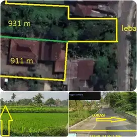Tanah nyaman dan asri view sawah cocok hunian homestay umbulmartani