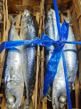 Pindang Salem Segar