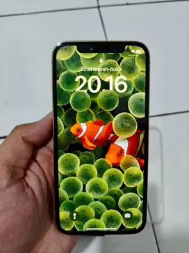 iphone 12 Pro 128 Gold Resmi ID/A Mulus