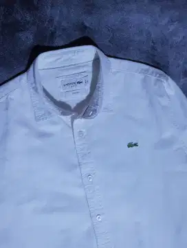 Kemeja putih Lacoste oxford ORI