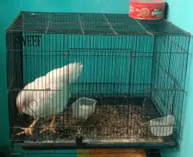 Kandang besi untuk hewan peliharaan