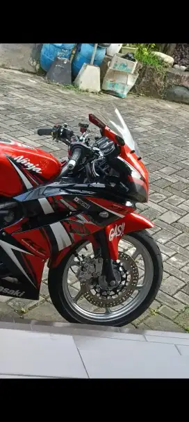 Kawasaki Ninja RR New 2014 SE
