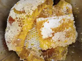 Madu hutan alami