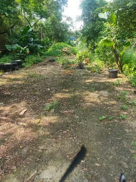 tanah komersil di sewakan