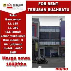 DISEWAKAN RUKO DI TERUSAN BUAH BATU BANDUNG - BARU RENOVASI --NE