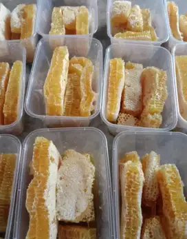 Madu hutan alami dari alam