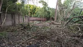 Land For Lease on Mainroad Close to Beach at Pererenan