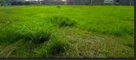 Dijual 2 Kavling Gandeng Siap Bangun di Cluster My Home Lippo Cikarang