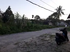 Tanah murah tengah perumahan warga, 1280m2 kulim, Pebatuan,Pekanbaru