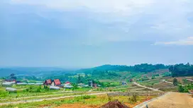 Jual tanh murah nempel jalan
