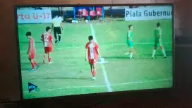 TV Led 42 in normal