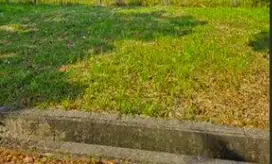Jual 2 Kavling Gandeng di Taman Simpruk Lippo Cikarang 2 Menit ke Tol