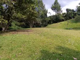 DIJUAL TANAH DI GUNUNG MALANG TENJOLAYA BOGOR JAWA BARAT