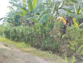 Dijual Cepat! Harga Dibawah Pasar! Tanah Cocok Dibangun 5 Unit Rumah