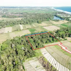 tanah murah tabanan jalan kaki ke pantai kawasan villa