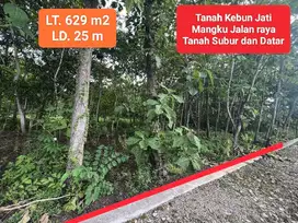 Jual tanah mangku jalan raya murah di Bejiharjo Gunungkidul