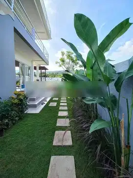 For Rent Privat Villa 1 Brbwith Fantastic View Near To Pepito N Beach
