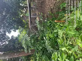 dijual murah tanah kebon dekat pemda cibinong