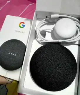 Google nest mini 2nd gen