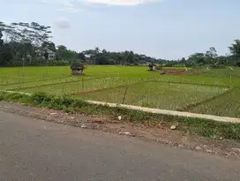 Di jual sawah nempel jalan utamaLokasi di Mangunsari
