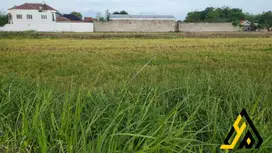 Dijual sawah sangat strategis lokasi Sukoharjo Luas 1475m BU!