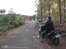 DIJUAL TANAH MURAH DIJUAL DI PALUOMBO BENDOSARI SUKOHARJO