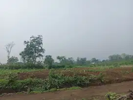 Tanah Kavling 3 Menit Dari UIN Malang