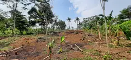 Dijual Tanah Kosong Di Cariu Pinggir Jalan besar
