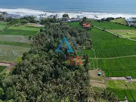 Dijual tanah kavling lokasi tabanan beraban
