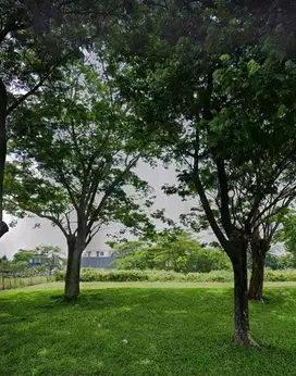 AUD45 Dijual Tanah Beli langsung dapat passive income, ciputra world