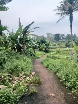 Tanah 2.9 Ha di dkt Taman Tekno BSD strategis