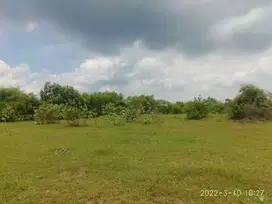 Tanah 1ha  dijual di Arjasa Situbondo