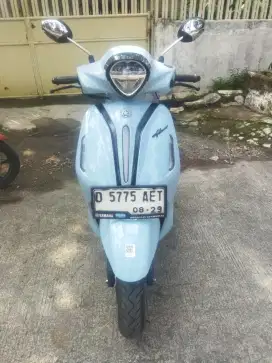 Yamaha Grand filano 2024