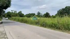 Jual Tanah di Jalan raya singabangsa, Tenjo - Bogor, Jawa Barat.