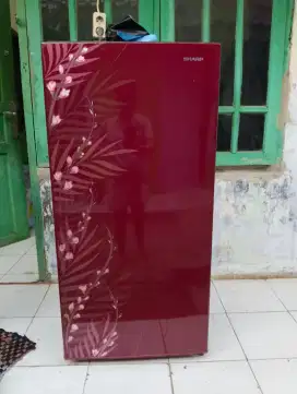 Kulkas SHARP 1 PINTU