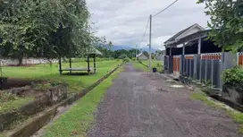 Tanah Kavling Jalan Menara Suar Pelabuhan Celukan Bawang Gerokgak