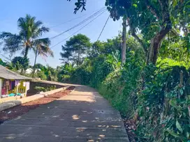 Tanah kebun murah strategis dikampung Tegal Kemang parung