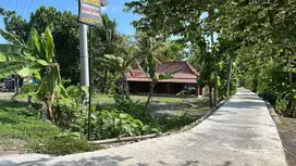 Salam projo sentolo Brosot kulon Progo Yogyakarta