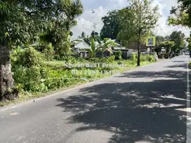 Disewakan Tanah Luas 11 Are Murah Pinggir Jalan Utama Tembongkang