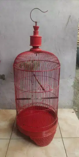 kandang kapsul lb