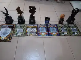 murai batu prestasian ekor putih